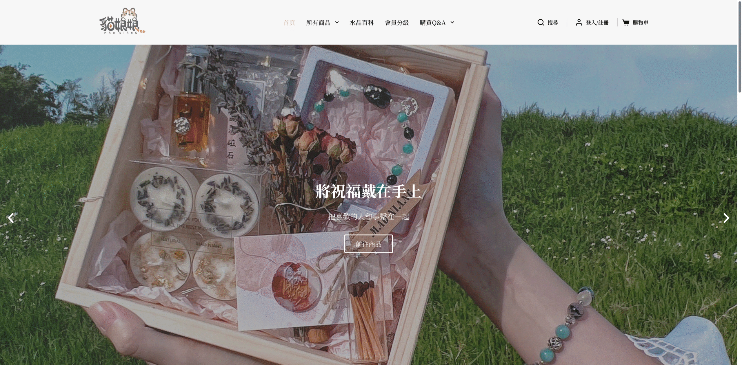 品牌官網案例截圖